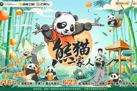 《熊猫一家人》温暖收官，用青春视角书写熊猫与“熊猫人”的中国故事图片