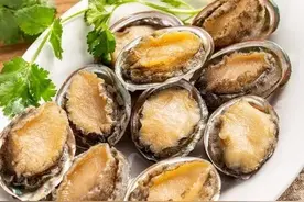 这5类海鲜，珍贵又营养，大部分人没吃过。图片