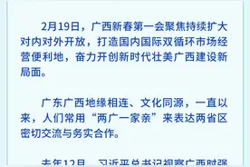 打造粤港澳大湾区重要战略腹地，广西跑出“加速度”！图片