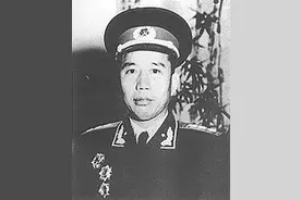 王震：共和国首任农垦部长，出访日本违背总理禁令，临终嘱托骨灰撒在北大荒图片
