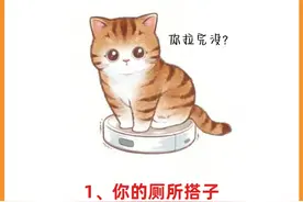 猫咪已经把你当妈妈了，你却还不知道！图片