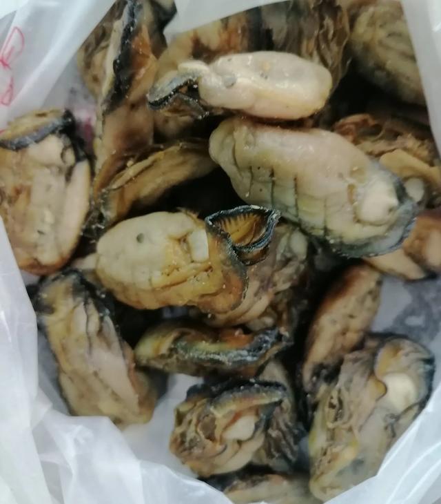花胶是鱼尿泡 2026年花胶是哪种鱼的鱼泡