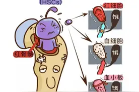 分享一碗“生血汤”，提升白细胞，改善癌症患者虚弱状态！图片