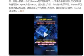 中国AI新星Manus爆火，或成DeepSeek后最大黑马图片
