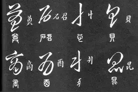 这份标准草书教程，影响无数人图片