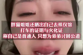 胖猫后续：博主声称胖猫假死，姐姐发声后令人泪目图片