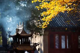 领导干部应会的49个典故，再不怕讲话没水平文章没文采了！图片