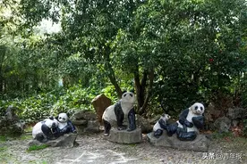 上海动物园70岁了！这些回忆你有吗？图片