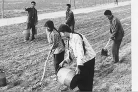 生产队时期的那些人那些事，至今想起来仍令人难忘图片