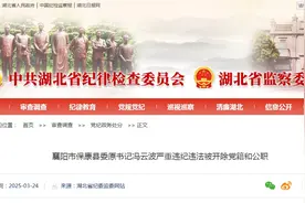 冯云波被开除党籍和公职图片