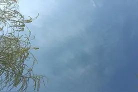 全省教师招聘人数减半，考编人数攀升，这有两个疑问，你那怎样？图片