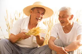 年满60岁的老农民，一次性补缴6万元，每月能领多少钱？有一千吗图片