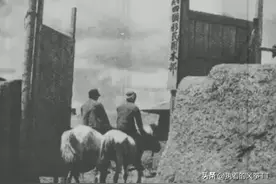 在国家公祭日之际，揭露日本开拓团后代在东北被收养长大的经历！图片