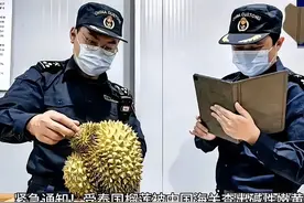 泰总理急了？泰国榴莲海关检测出一级致癌物，贵族水果全军覆没！图片