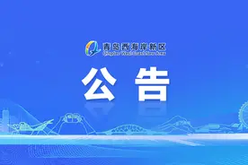 西海岸新区25名！青岛市2025年“青选计划”启动图片