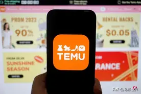 下午察：Temu商家的维权行动图片