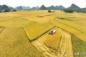 印度耕地22.5亿亩，年产3.3亿吨粮食，中国19亿亩，年产多少？图片