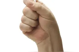 属相与命运图片