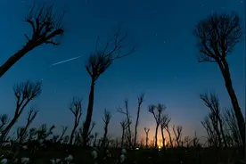 “天空剧场”迎来年度收官大戏 “最靠谱流星雨”点亮冬日夜空图片
