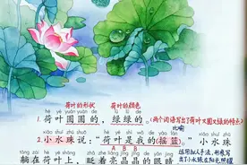 一年级下册语文，第六单元课文12《荷叶圆圆》笔记+课堂解析图片