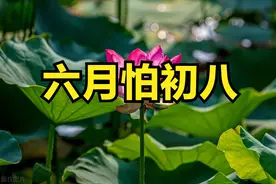 老话说“六月怕初八”，明日六月初八，到底怕啥？看看老人咋说图片