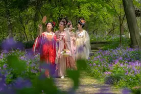 苏州虎丘花朝节3月29日开幕，精彩抢先看！图片