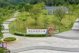 坪山微度假 | 享野趣！去露营图片
