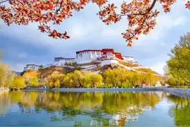 摄影中加入前景，画面好看10倍，你会用了吗？图片