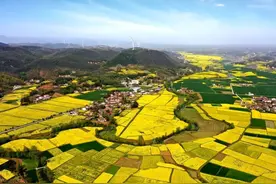 花漾湖北 | 春日限定！湖北绝美油菜花海鉴赏攻略来了图片