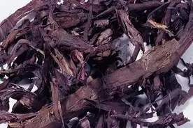 民间这一味不起眼的“中草药”，治疗牛皮癣却有奇效！图片