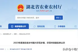 省级乡村振兴示范名单公示，十堰这些地方获新称号图片