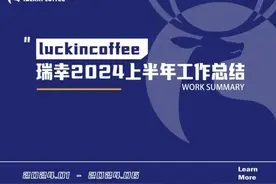 2024瑞幸上半年工作总结方案图片