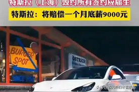 近日特斯拉和中铁相继裁掉大量应届毕业生，保留应届生身份很重要图片