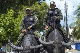 29张图看世界：爱因斯坦的年轻帅照，印度国产导弹被战斗机追上图片