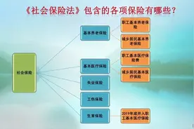2024年，社保补缴需要满足什么条件？哪些情况可以补缴？分析一下图片