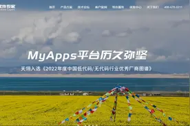盘点国产低代码平台图片