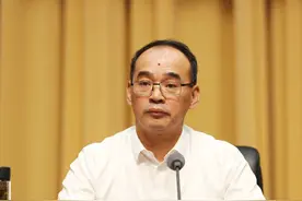苏金森，利欲熏心、执法犯法图片