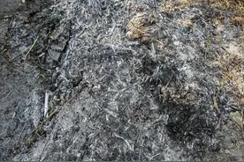 这10个草木灰禁忌，你必须知道，错误使用后果不可小觑！图片