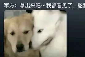 顺丰自研无人机被国家收编，兔子:顺丰哪有顺手快，评论区笑死了图片