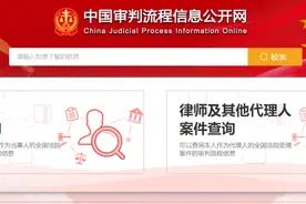 如何查询案件信息，请看这份指南！图片