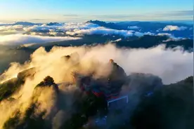 免票！半价！教师节栾川各大景区送福利！图片