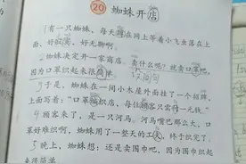 二年级课文《蜘蛛开店》内容讲解预习图片