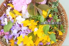 春暖花又开，快带孩子把春天装进书签里吧！图片