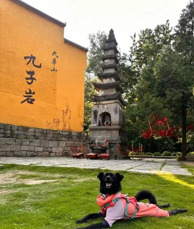 外交部发言人都在安利！去安徽池州，探寻“天河挂绿水”的千年