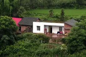 农转非的人或许有福了！集体经济组织法或成为一个重回农村的契机图片