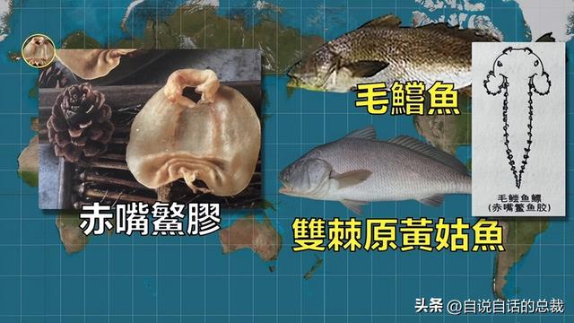 美国陈年花胶 2026年陈年花胶价格