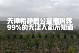 天津怡静园公墓植树葬 99%的天津人都不知道图片