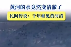 黄河水变清澈，千年传说成真！图片