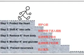纠正急性高钾血症的【5+3】处理法，超实用！图片