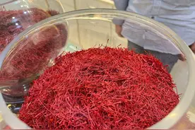 藏红花虽小，作用却大，关于藏红花的食用禁忌，喝之前或提前了解图片